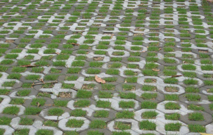 1548786570254267.jpg c01.jpg